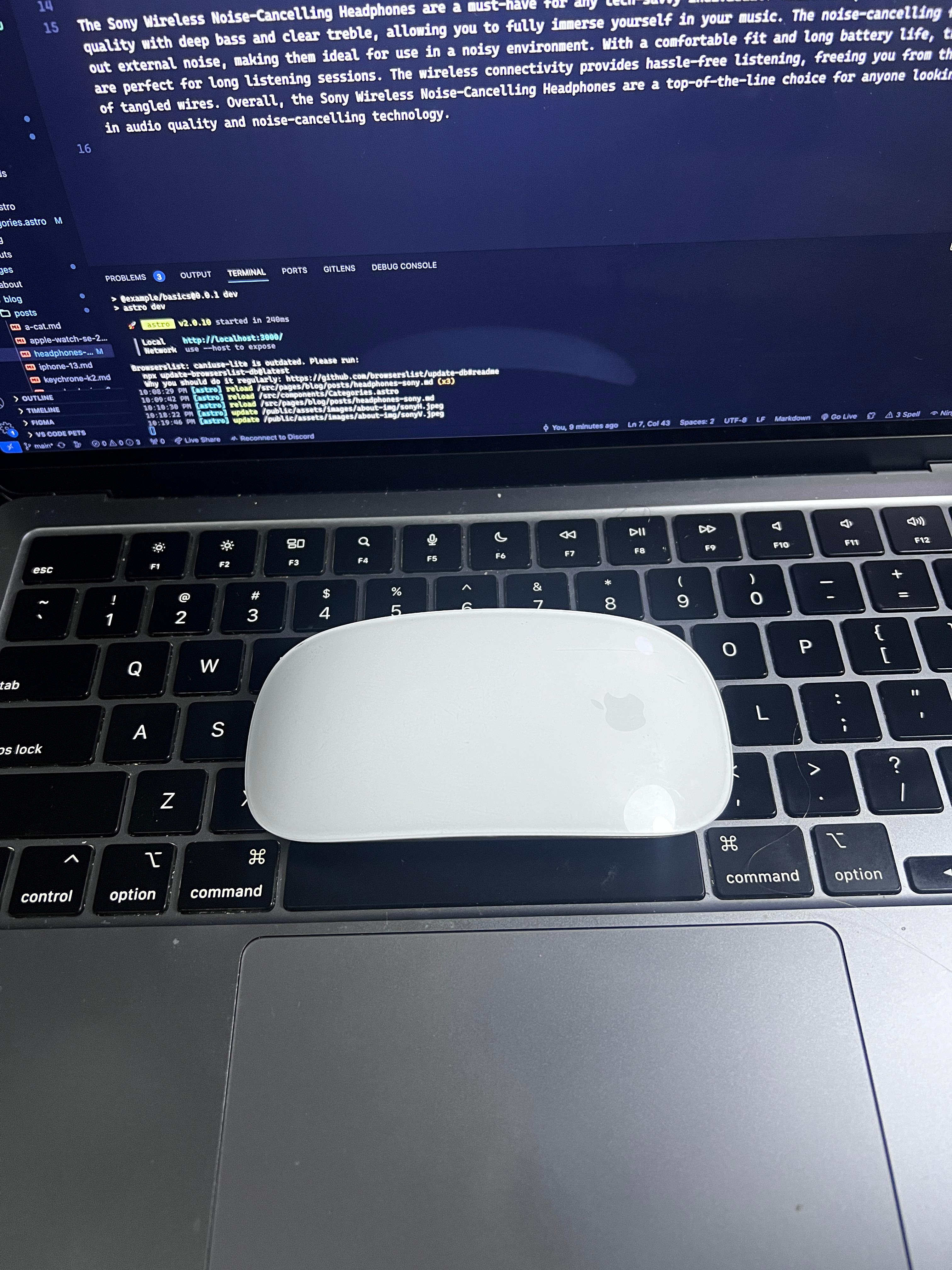 Apple Magic Mouse